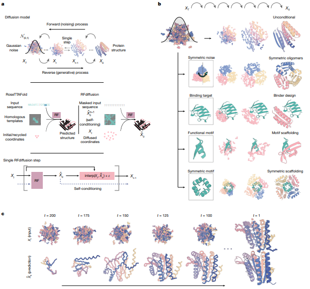 利用RFdiffusion設(shè)計(jì)蛋白質(zhì)